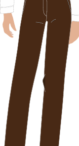 CALÇA FEMININA MARROM, SEGURANÇA, TAUA JP