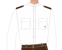 CAMISA SOCIAL MASCULINA GOLA PADRE BRANCA M/L, SEGURANÇA, TAUA JP