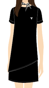 VESTIDO PRETO, COPPOLA HOSTESS, TAUA JP